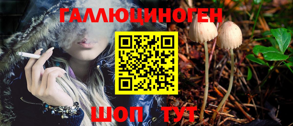дарнет шоп  Галлюциногенные грибы мухоморы  Вход с VPN  Орск 