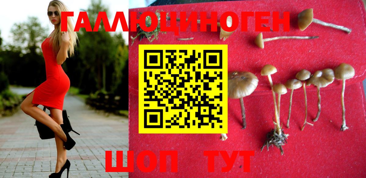 Галлюциногенные грибы GOLDEN TEACHER Орск